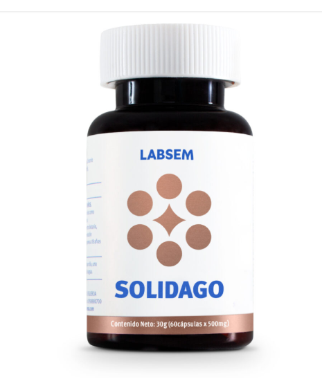 SOLIDAGO