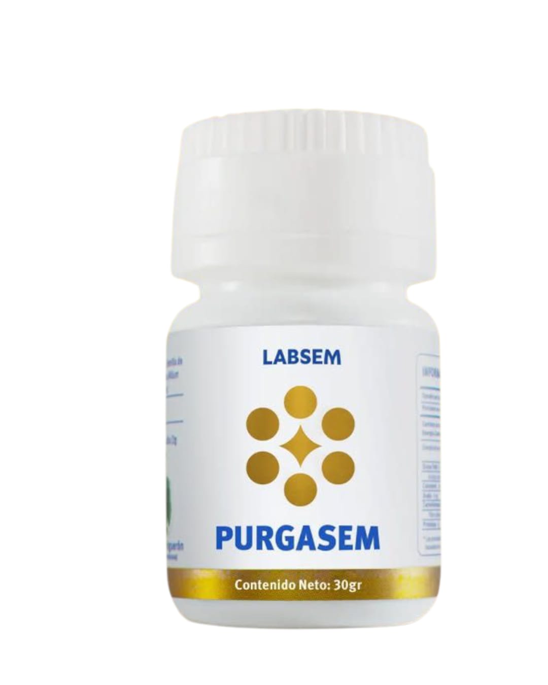 PURGASEM
